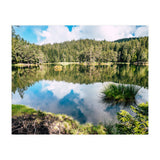 Calm (Print Only) thumbnail