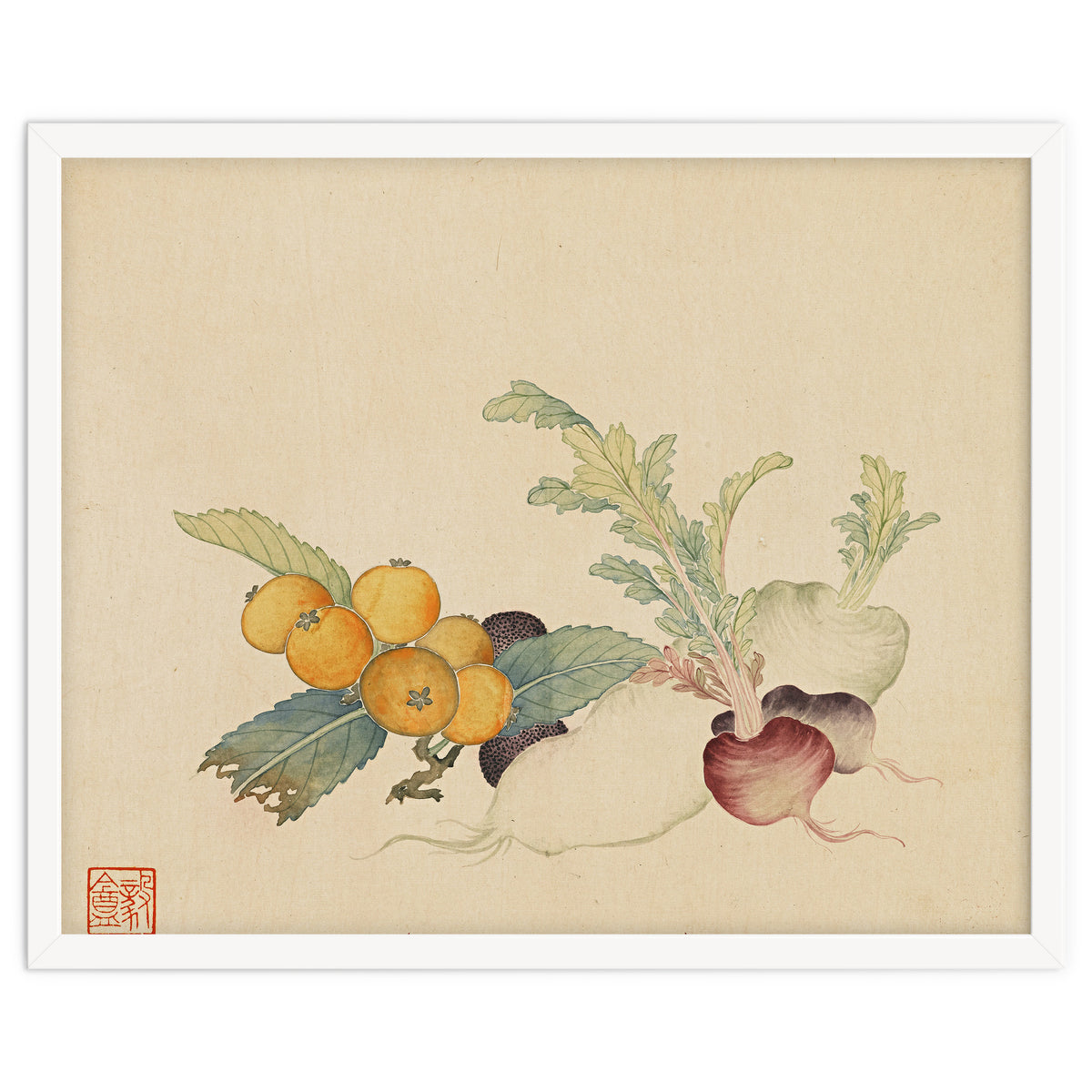 Wang Chengpi~flowers And Vegetables, Vegetables, Fruits, Loquat, White Radish, Carrot, Radish