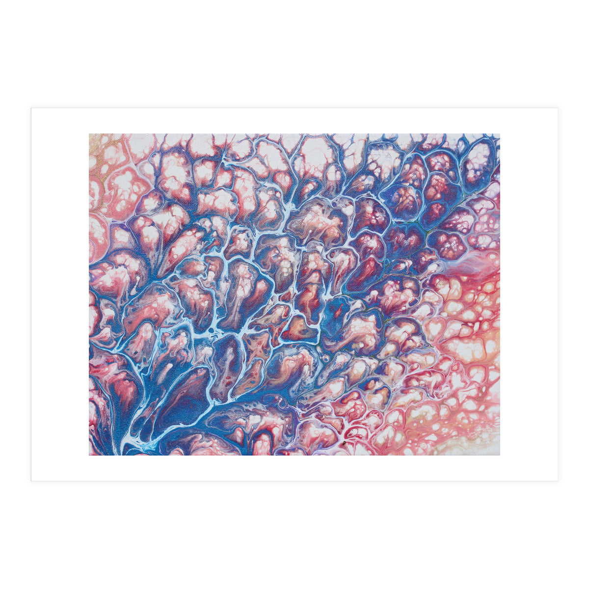 Coral Sea (Print Only)