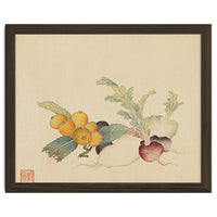 Wang Chengpi~flowers And Vegetables, Vegetables, Fruits, Loquat, White Radish, Carrot, Radish