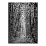 Forest path (Print Only) thumbnail