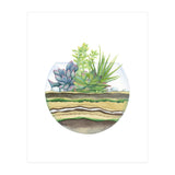 A Little Green Terrarium (Print Only) thumbnail