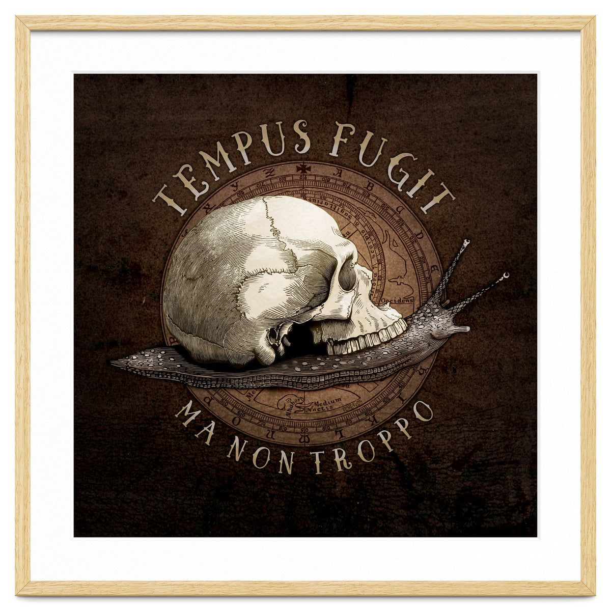 Tempus Fugit (ma non troppo)