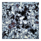 Impact (Print Only) thumbnail