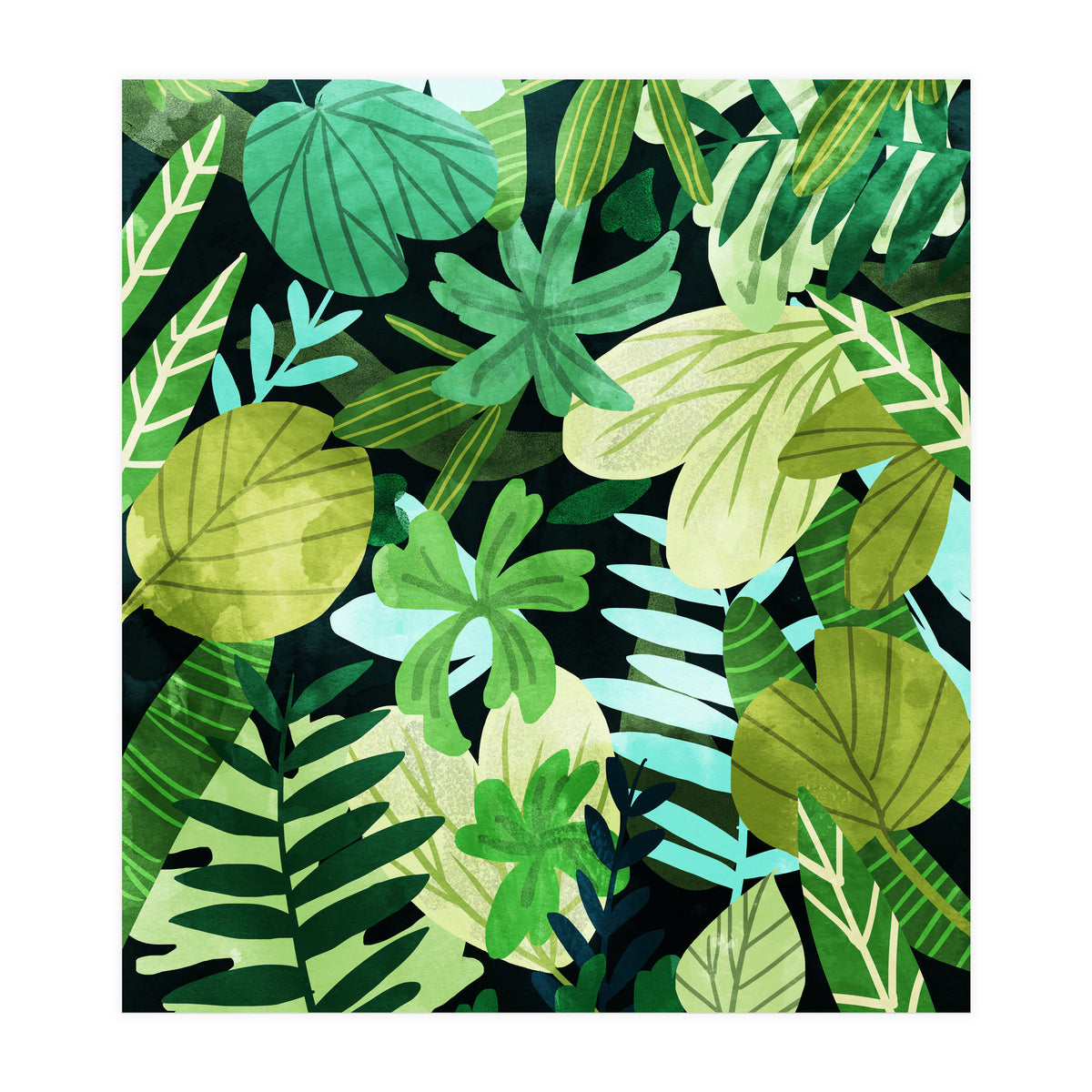 Rainforest Ii (Print Only)