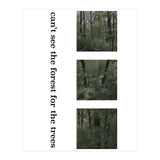 can’t see the forest for the trees (Print Only) thumbnail