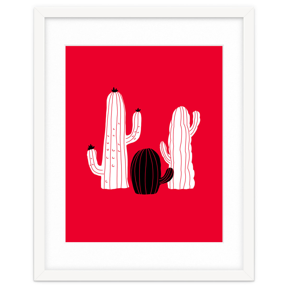 Cactus