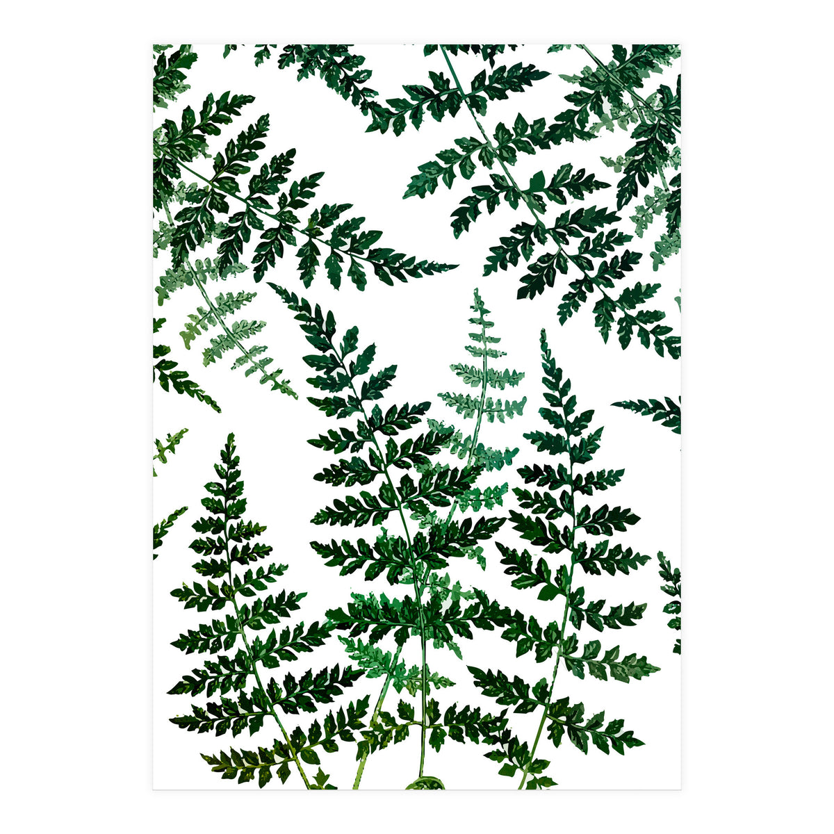 Botanical Bliss (Print Only)