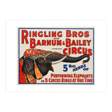 Ringling Bros & Barnum Bailey Circus Advertisement (Print Only) thumbnail
