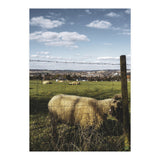 Bucolism 5 (Print Only) thumbnail