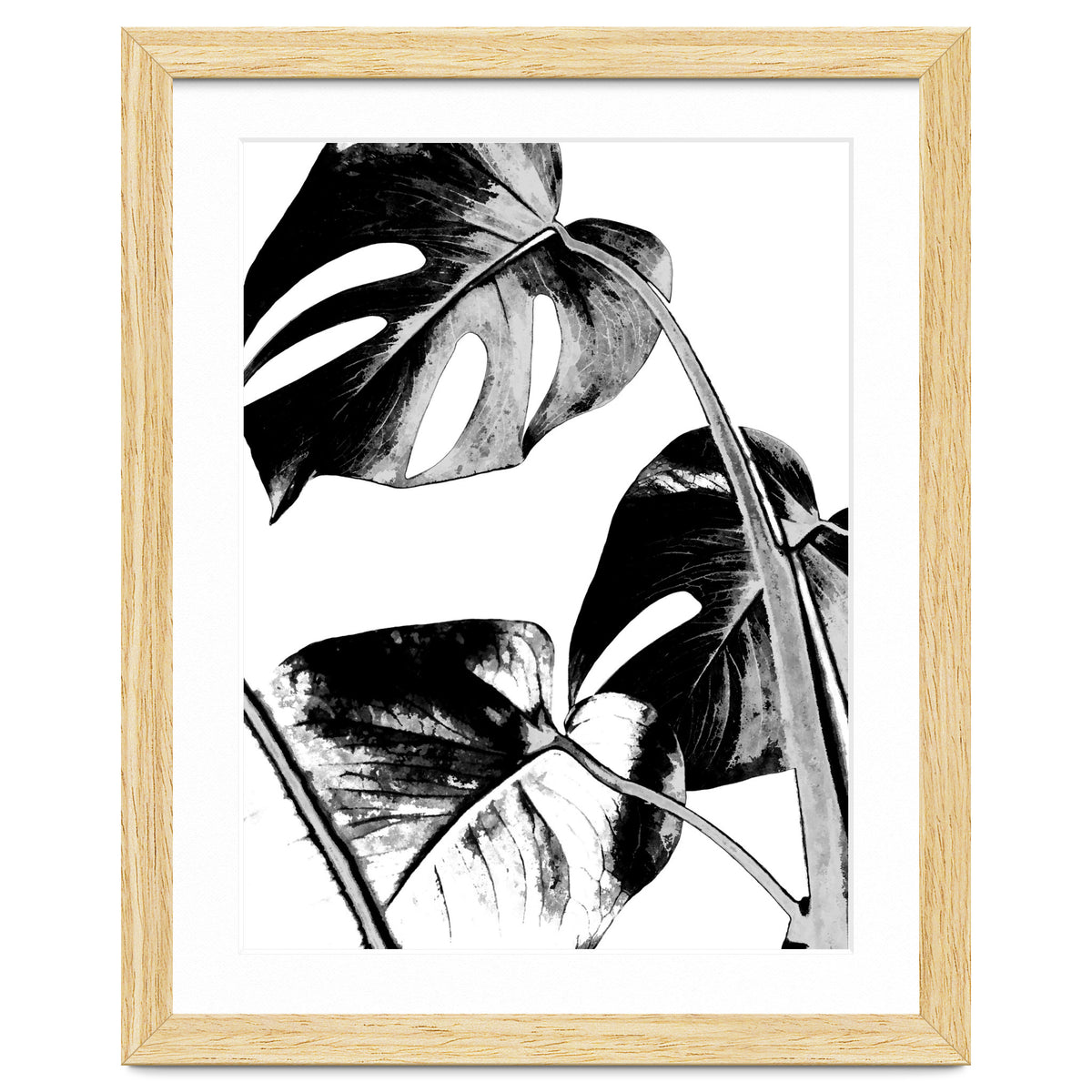 Black Tropical Leaves
