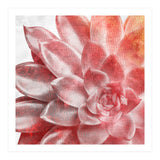 Rough Beauty 2 (Print Only) thumbnail
