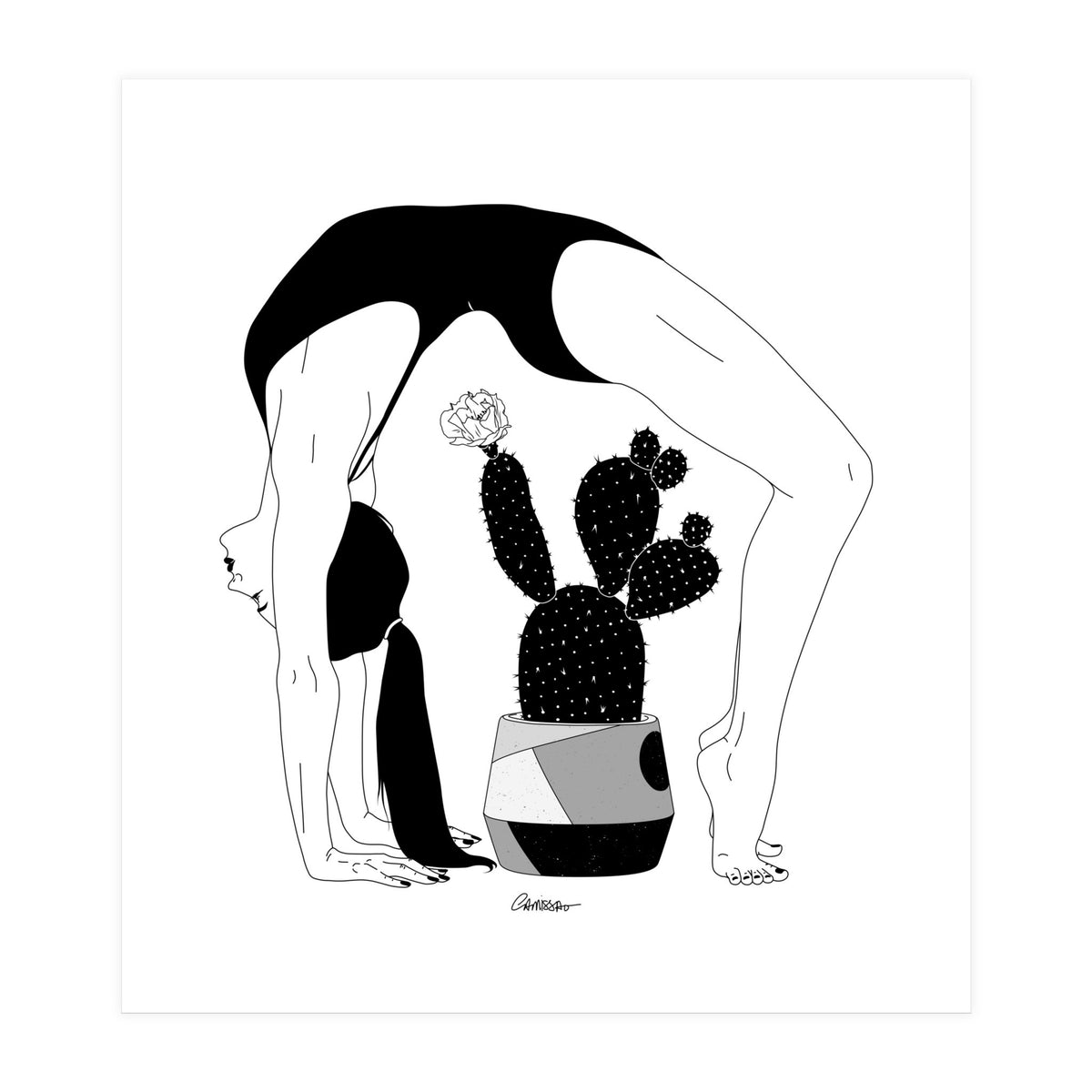 Prickly Gymnastic (Print Only)