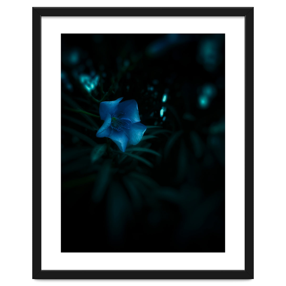 Shining Blue Floral