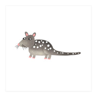 Quoll (Print Only)