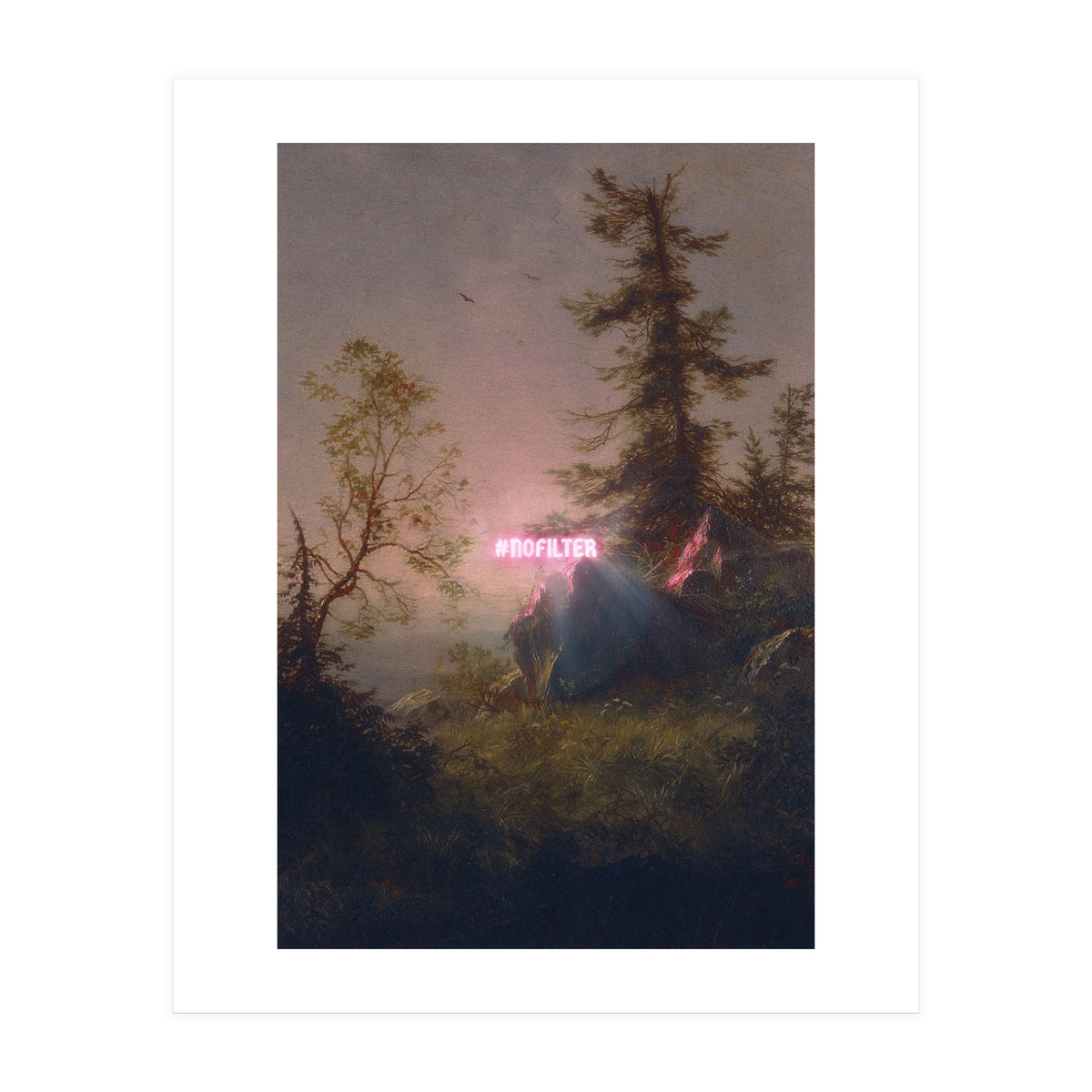 No Filter (Print Only)