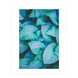 Leaf Me Alone (Print Only) thumbnail