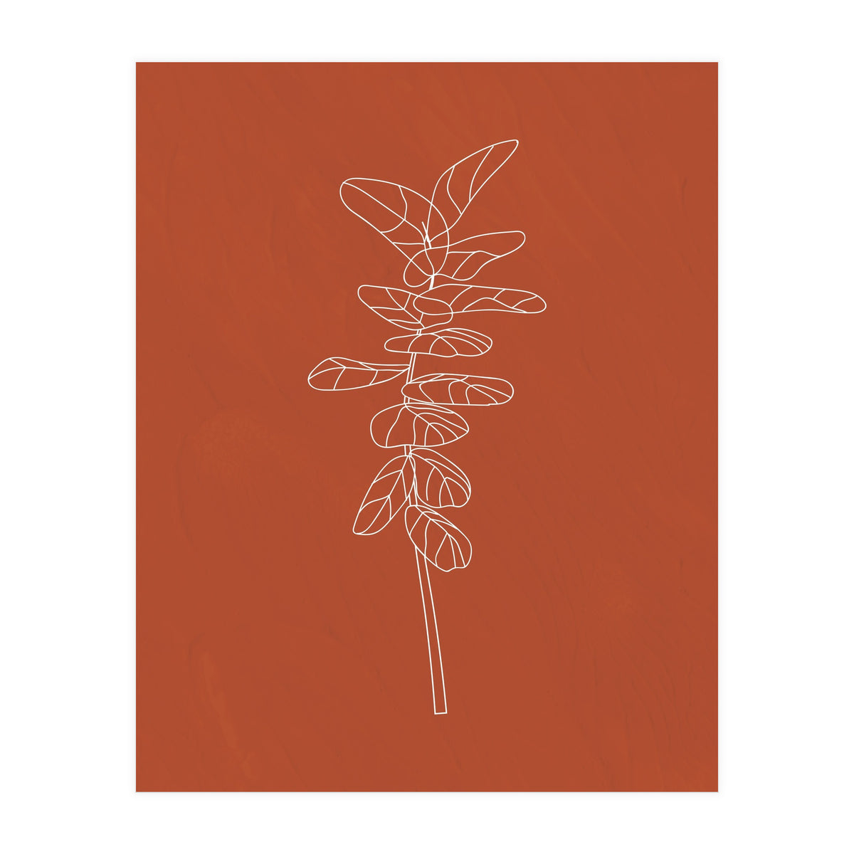 Line Art Botanical Terracotta (Print Only)