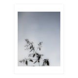 Forgotten Memories of Summer #17 (Print Only) thumbnail