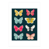 Lepidoptery Study No. 2 (Print Only) thumbnail