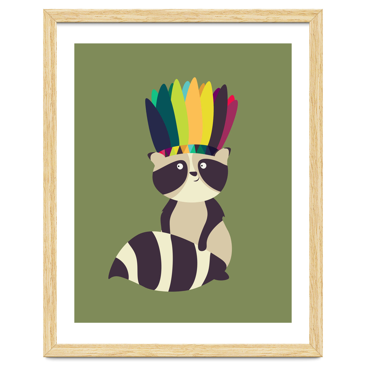 Indian Raccoon