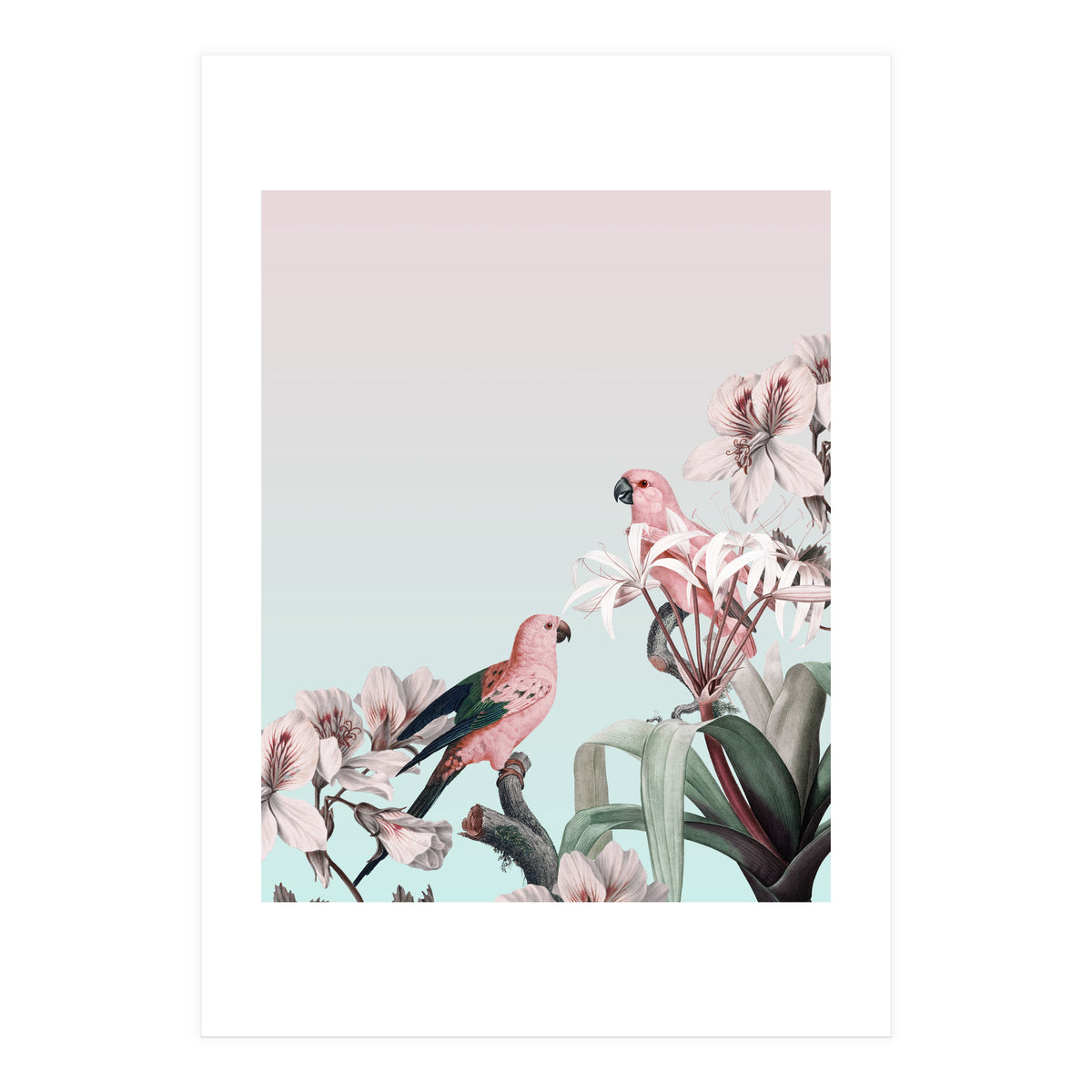Pastel Parrots Paradise (Print Only)