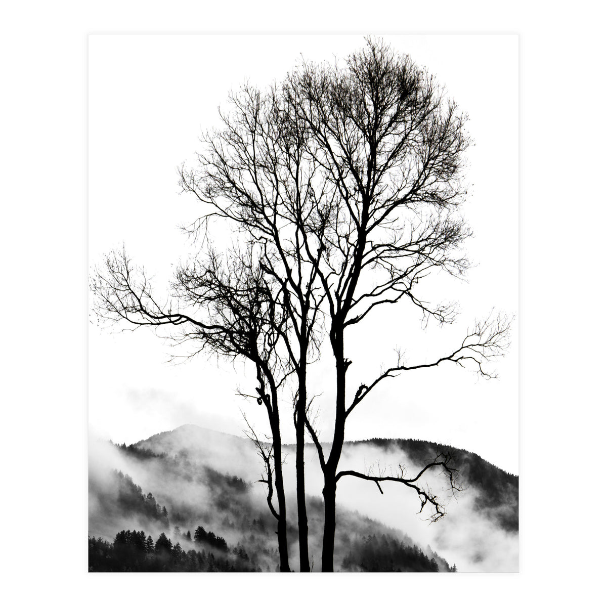 Rocky Mountains (Print Only)