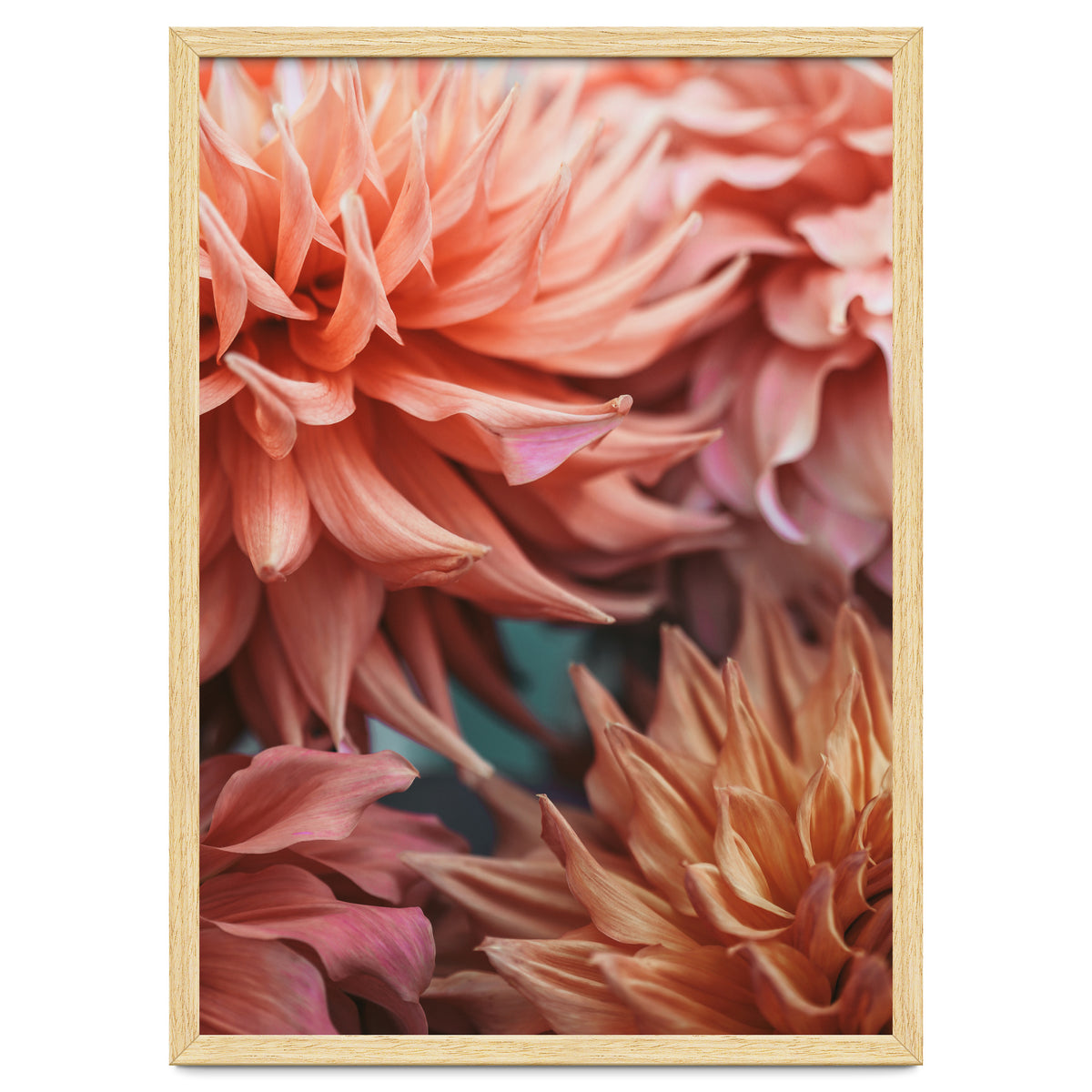 Vintage Dahlia