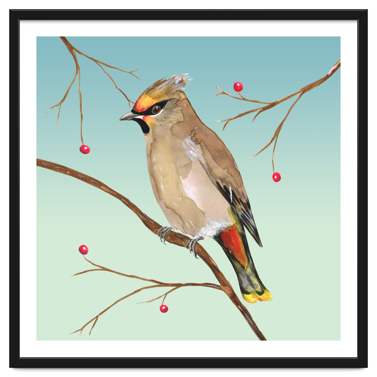 Bohemian waxwing