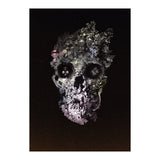 Metamorphosis  (Print Only) thumbnail