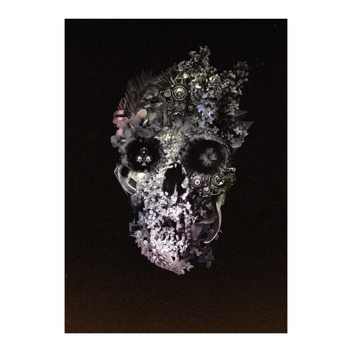 Metamorphosis  (Print Only)