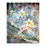 Embark (Print Only) thumbnail