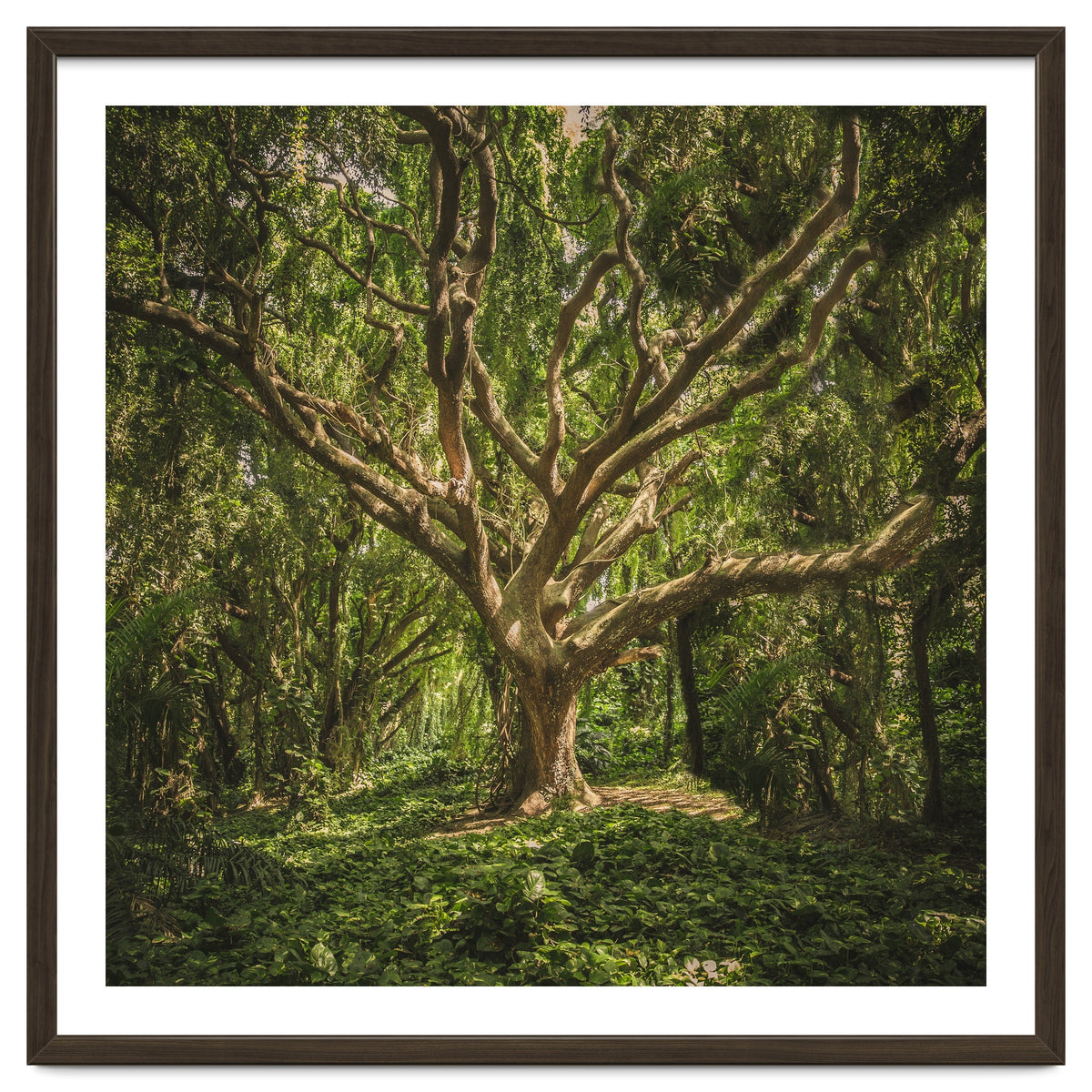 Spirits inside the wood