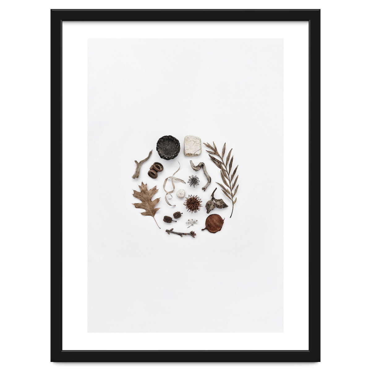 Treasures From Nature No. 2