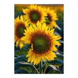 Summerflower (Print Only) thumbnail