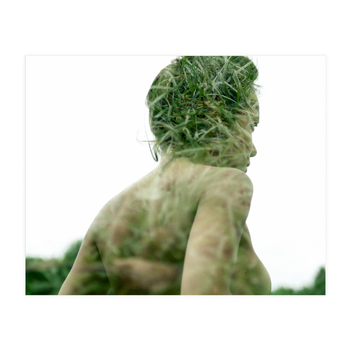 Grasshoppers (Print Only)