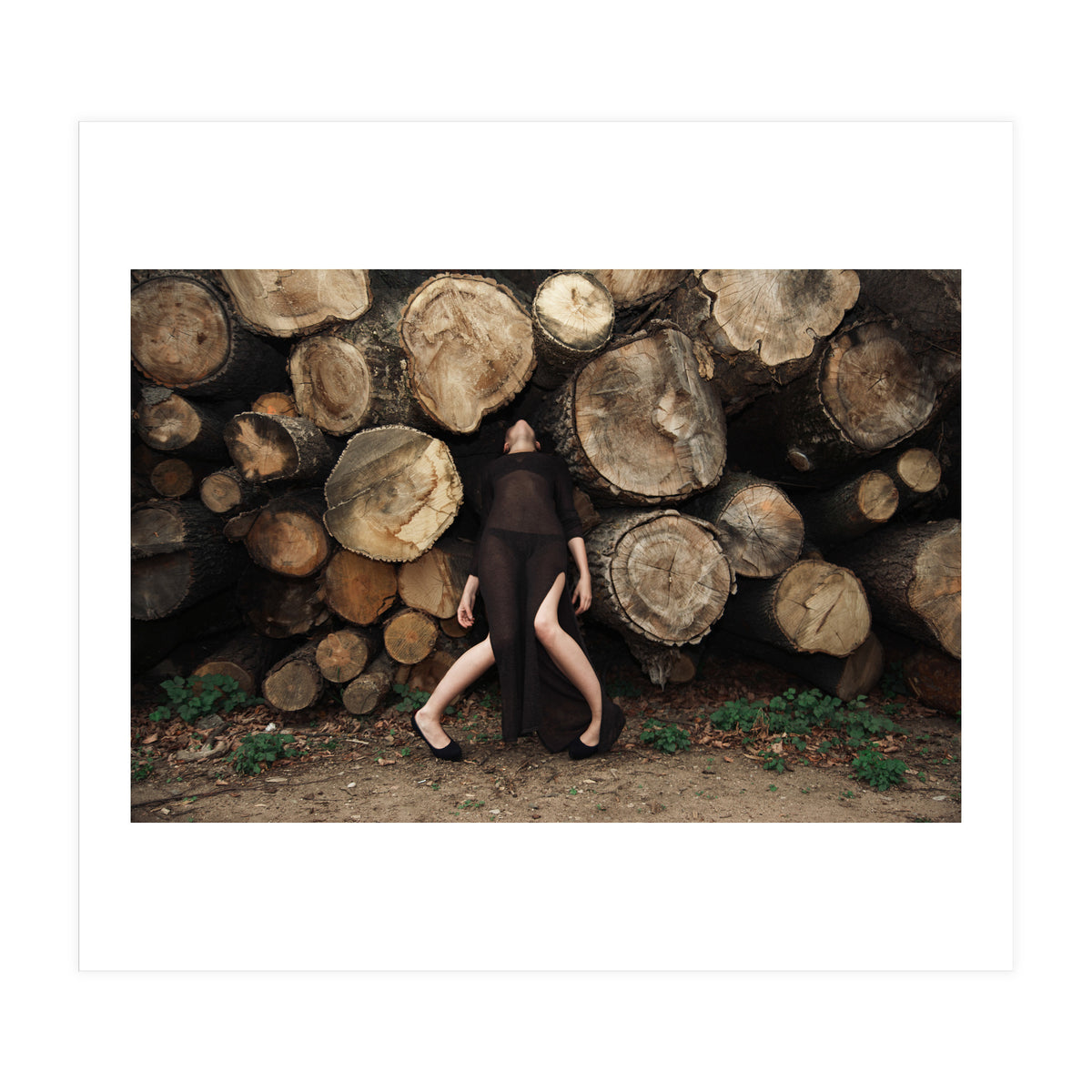 Slow Dancing Society (Print Only)