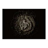Backyard Flowers No 100 Sepia Version (Print Only) thumbnail
