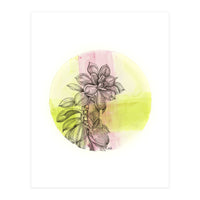 Succulent On Pink And Green (Print Only)
