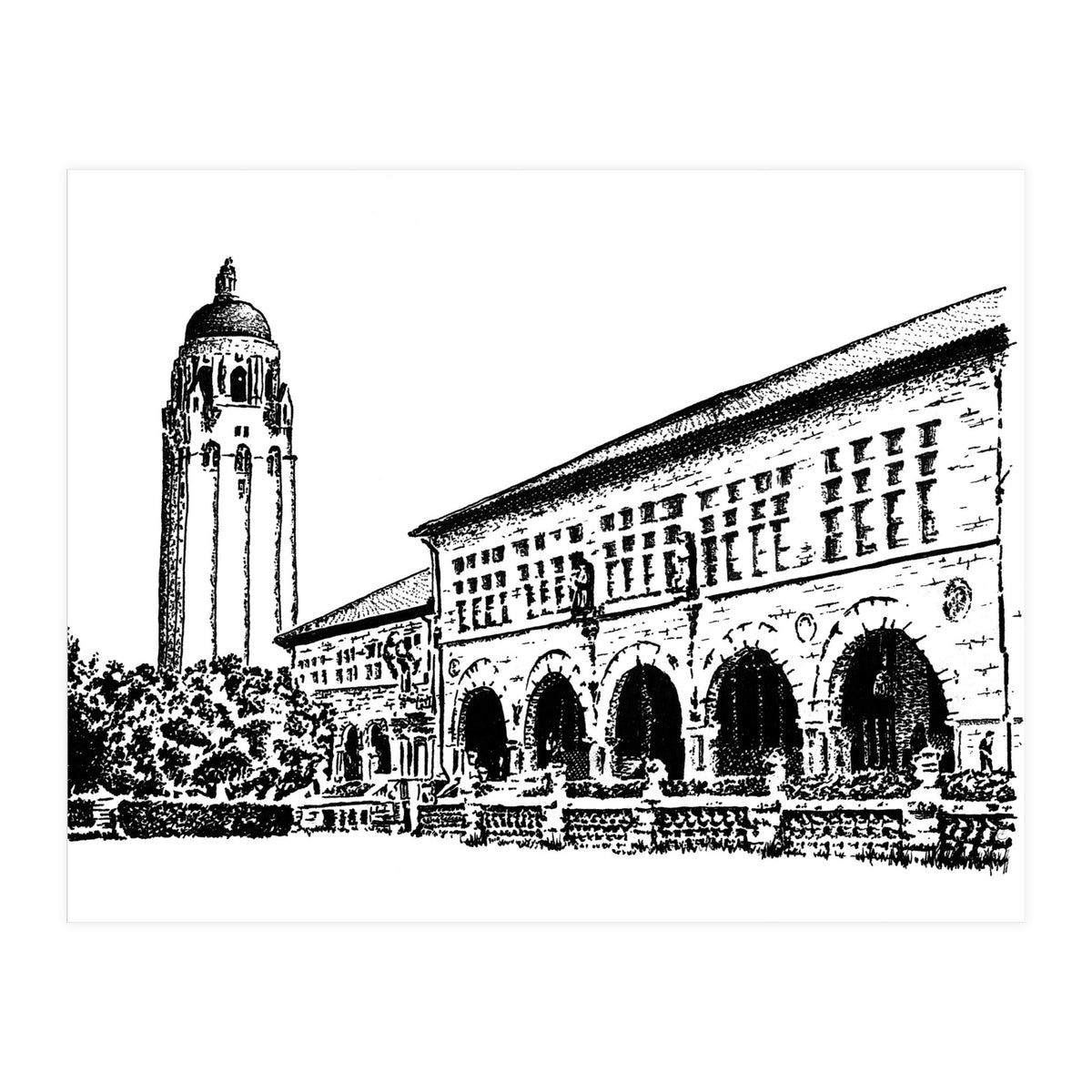 Stanford University (Print Only)