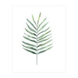 Botanical Illustration Fern (Print Only) thumbnail