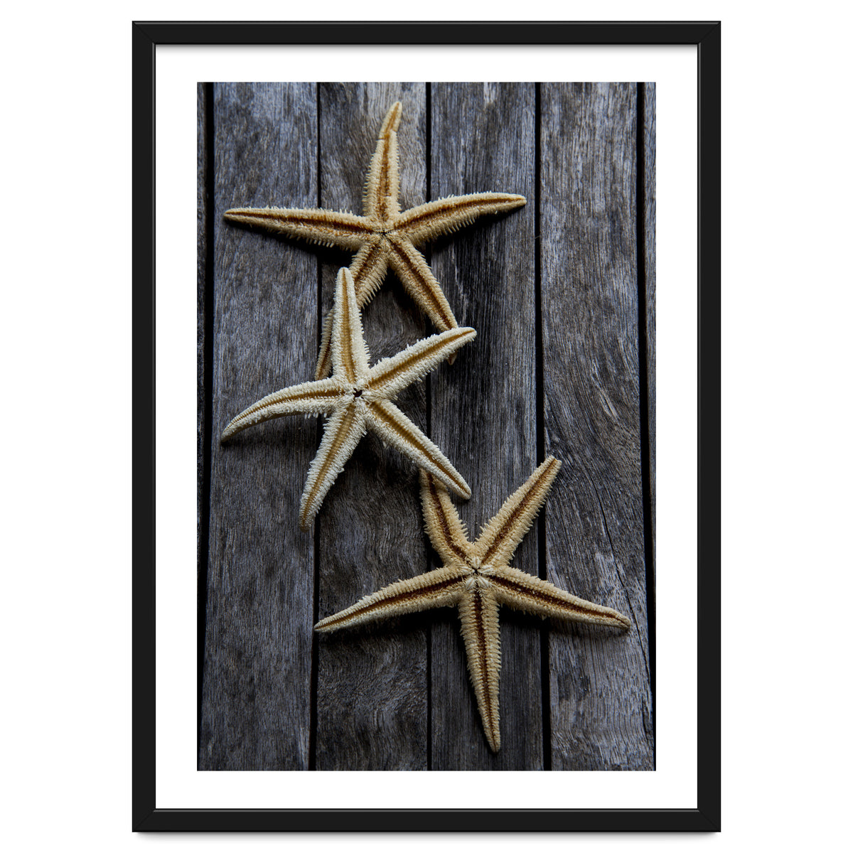Starfishes in wooden