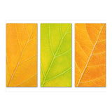 Autumn Leaves (Print Only) thumbnail