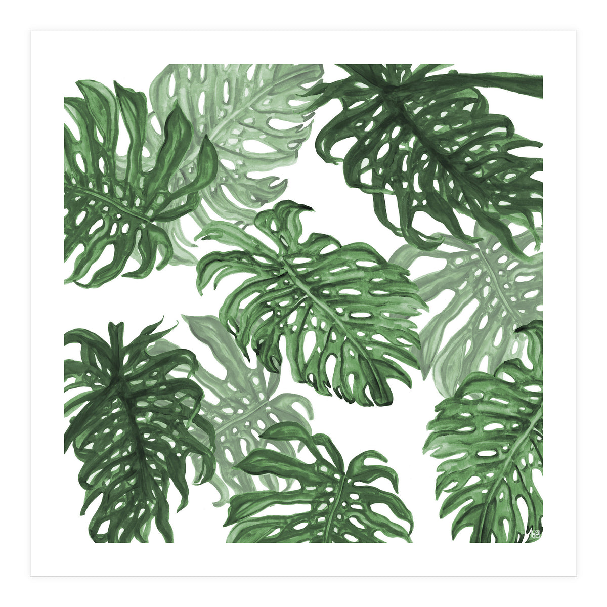 Monstera Deliciosa (Print Only)