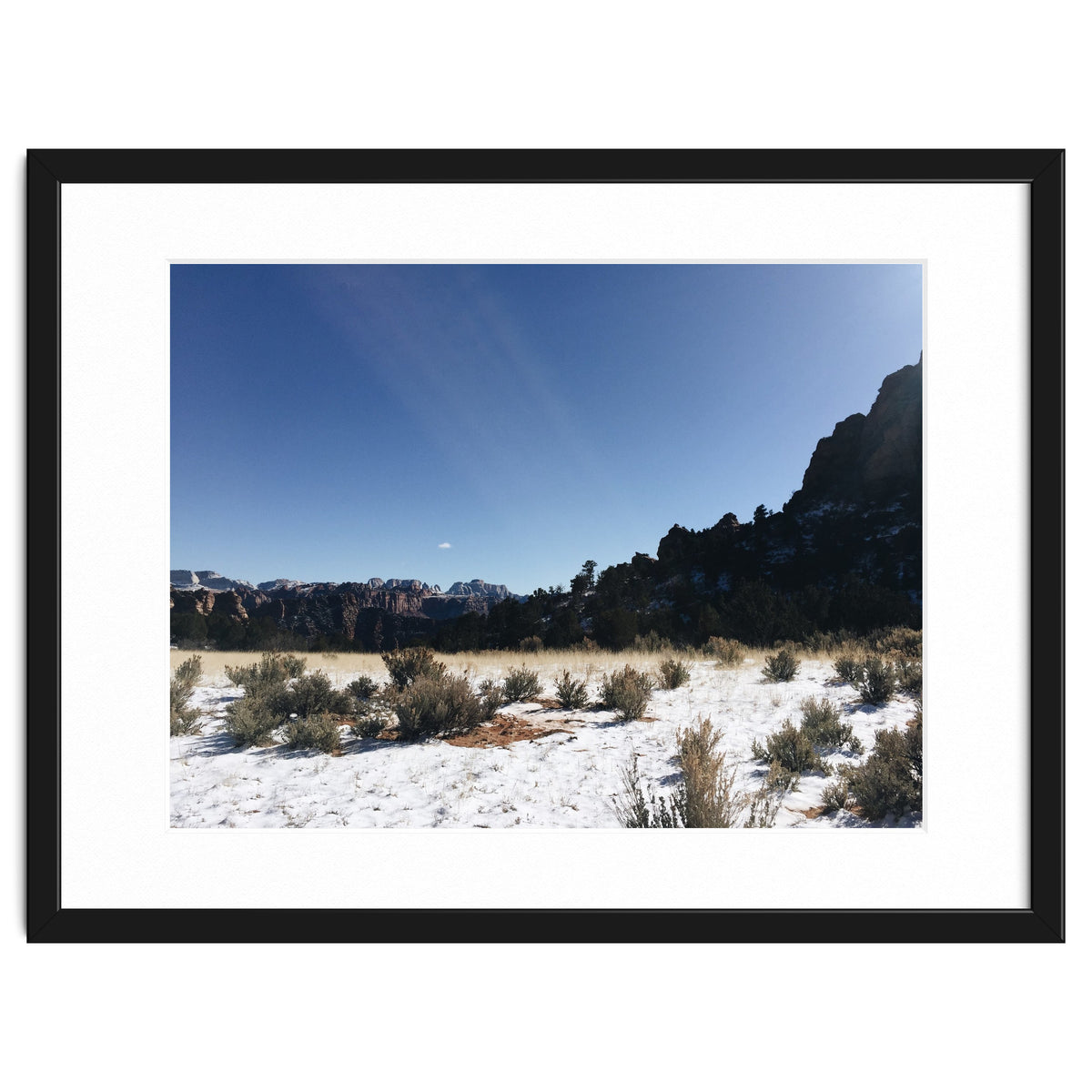 Zion National Park II