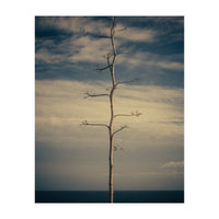 SEA AND TREE (Print Only)