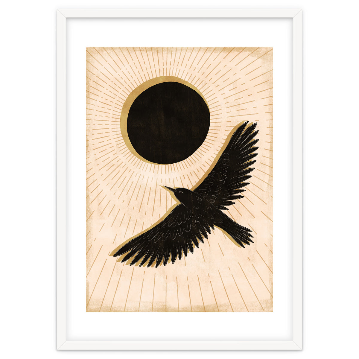 Raven And A Black Sun