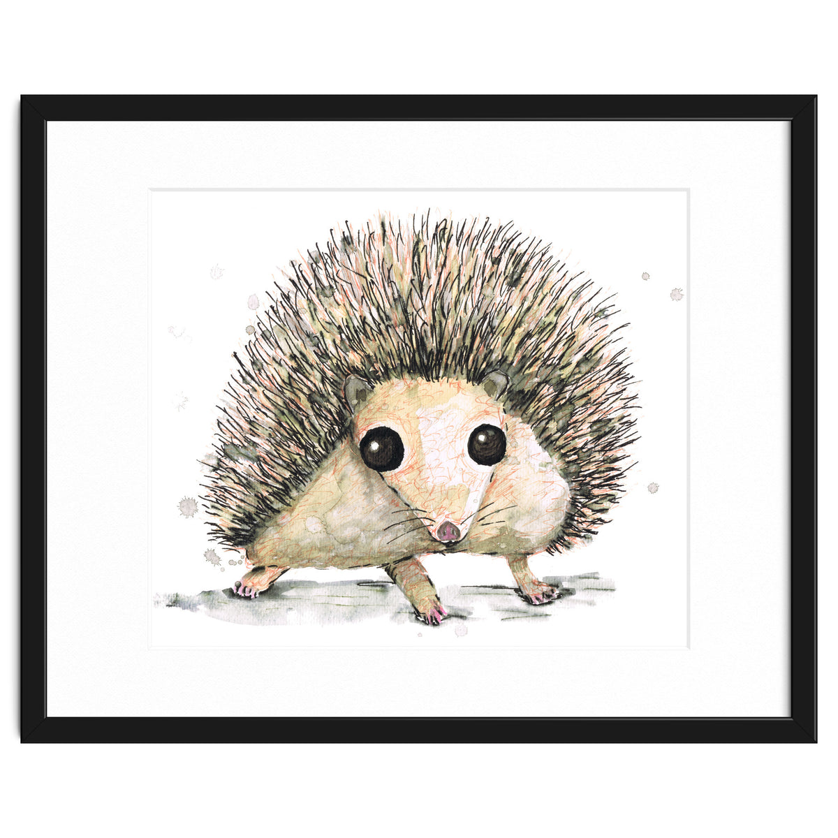 Hedgehog