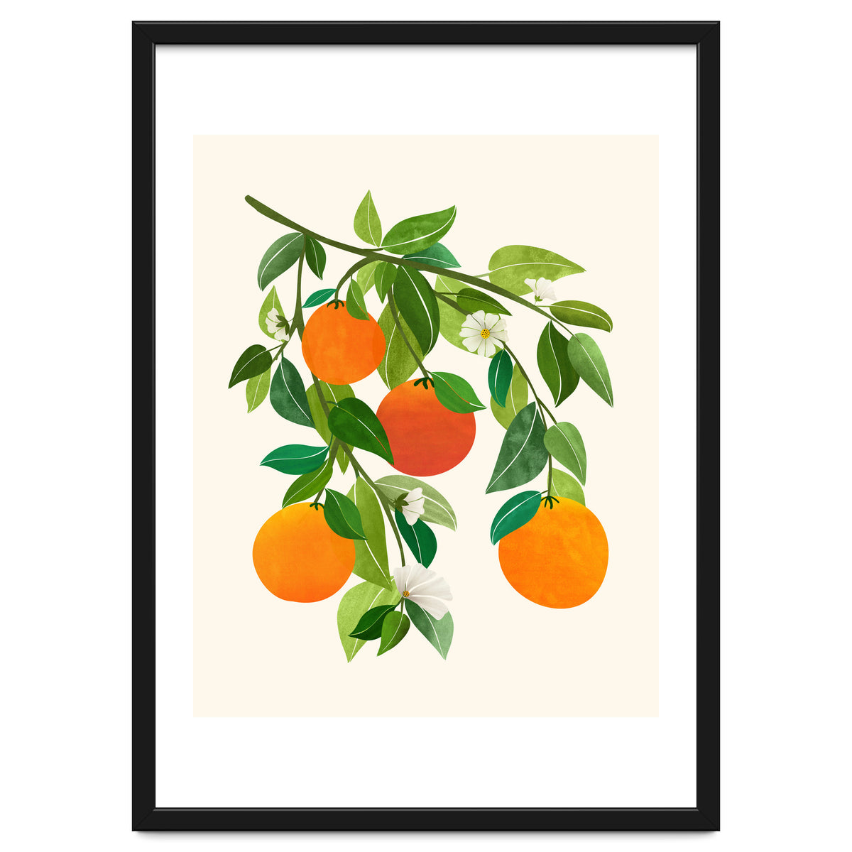 Oranges and Blossoms II