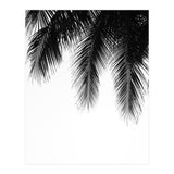 Palm leaves (Print Only) thumbnail